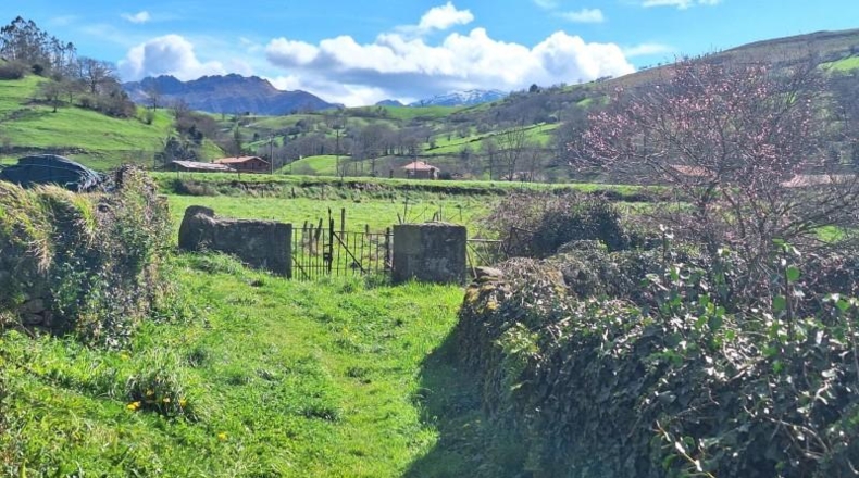 Cantàbria - Selaya - 3110m2