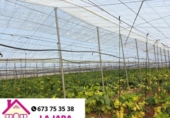Non-developable land for sale on España, Sanlúcar de Barrameda, ref: TR366138 photo