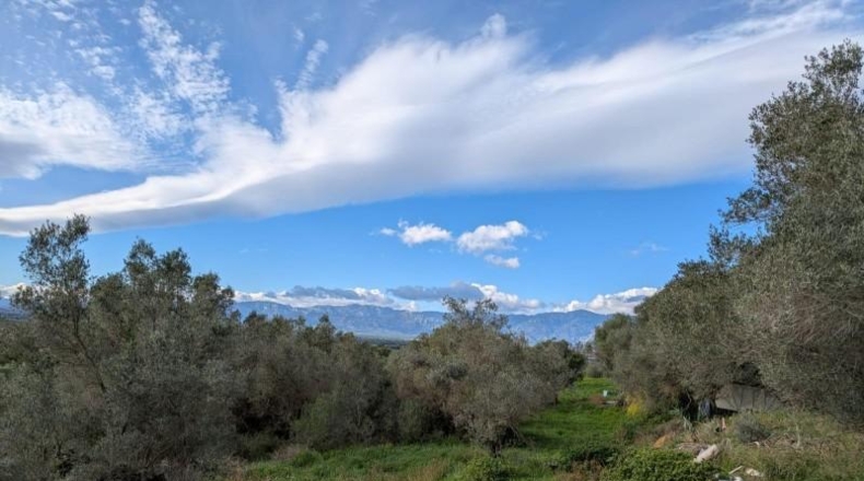 Tarragona - Masdenverge - 894m2