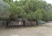 Terreny no urbanitzable en venda a la España, Puerto Real, ref.: TR115252 foto