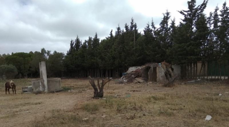Cádiz - Puerto Real - 2379m2