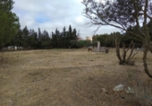 Terreny no urbanitzable en venda a la España, Puerto Real, ref.: TR115252 foto