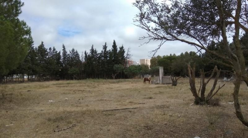 Cádiz - Puerto Real - 2379m2