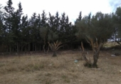 Terreny no urbanitzable en venda a la España, Puerto Real, ref.: TR115252 foto