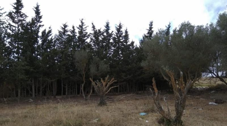 Cádiz - Puerto Real - 2379m2