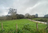 Sòl urbà en venda a la España, Escalante, ref.: TR364591 foto