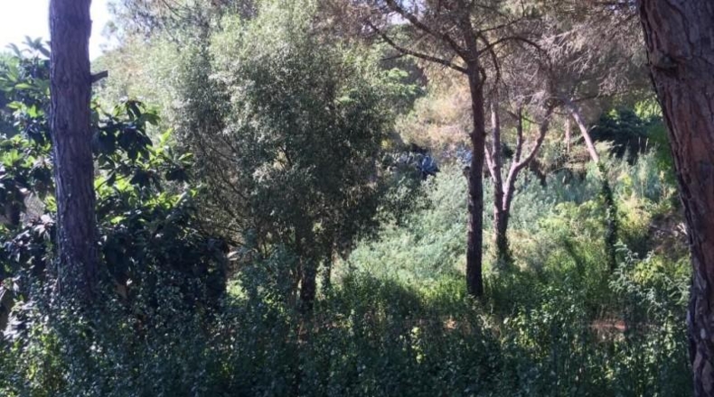 Gerona - Lloret de Mar - 357m2