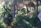 Urban land for sale on España, Lloret de Mar, ref: TR125628 photo