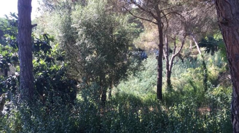 Gerona - Lloret de Mar - 357m2