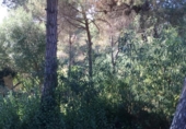 Urban land for sale on España, Lloret de Mar, ref: TR125628 photo