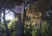 Urban land for sale on España, Lloret de Mar, ref: TR125628 photo