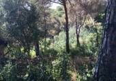 Urban land for sale on España, Lloret de Mar, ref: TR125628 photo