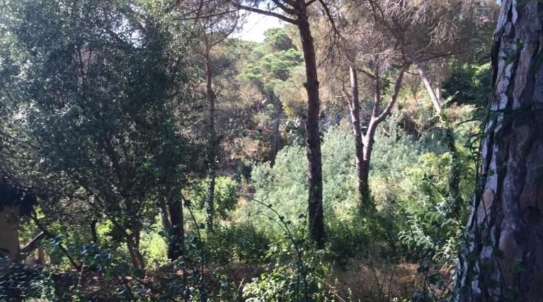 Gerona - Lloret de Mar - 357m2
