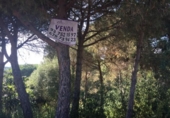 Urban land for sale on España, Lloret de Mar, ref: TR125628 photo
