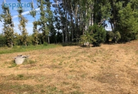 Carracedelo 4700&nbsp;m² 