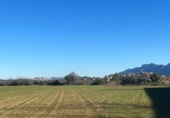Chalet independiente con terreno en venta en la España, Cretas, ref: TR293383 foto