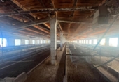 Chalet independiente con terreno en venta en la España, Cretas, ref: TR293383 foto