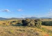 Terreno no urbanizable en venta en la España, Palazuelos de Eresma, ref: TR131219 foto