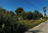 Terreny no urbanitzable en venda a la España, Múrcia, ref.: TR165428 foto
