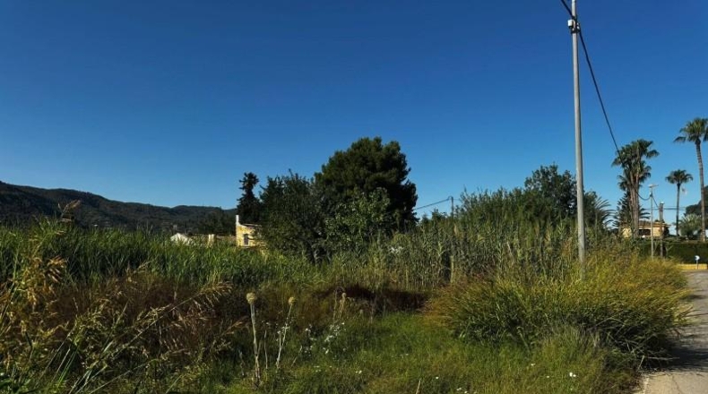 Murcia - Murcia - 2907m2