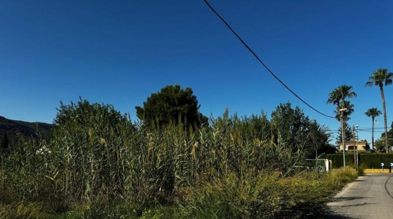Murcia - Murcia - 2907m2