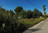 Terreny no urbanitzable en venda a la España, Múrcia, ref.: TR165428 foto