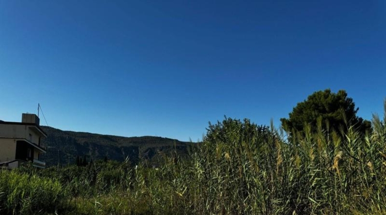Murcia - Murcia - 2907m2