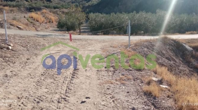 Murcia - Lorca - 8300m2