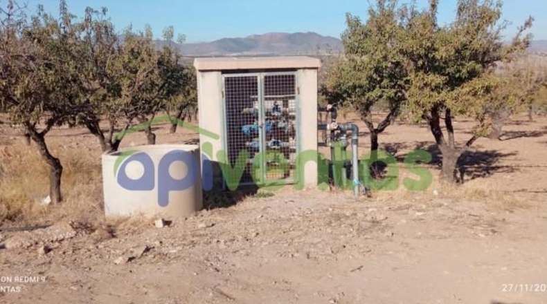 Murcia - Lorca - 8300m2