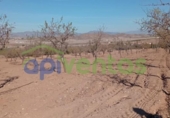 Земля на продажу у города Lorca Фото