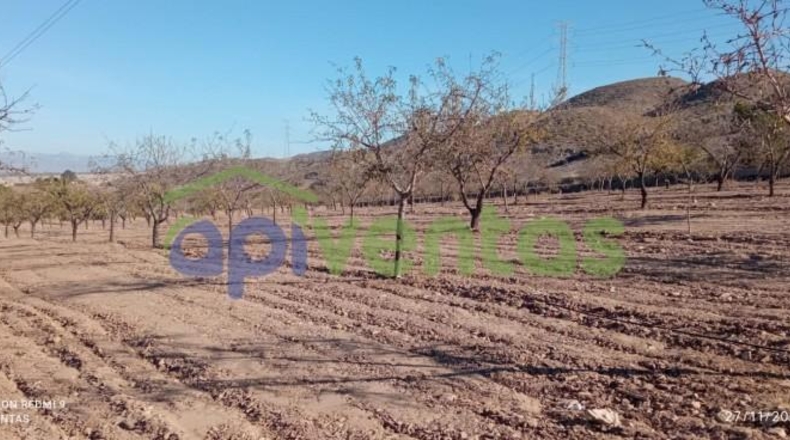 Murcia - Lorca - 8300m2