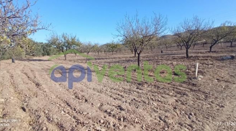 Murcia - Lorca - 8300m2