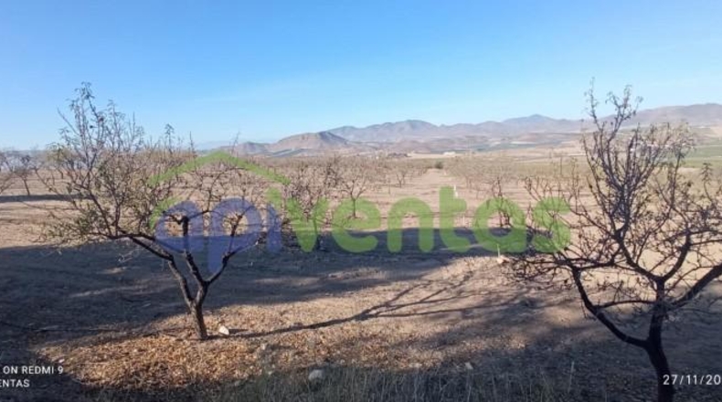Murcia - Lorca - 8300m2