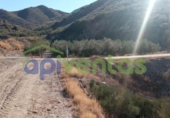 Земля на продажу у города Lorca Фото