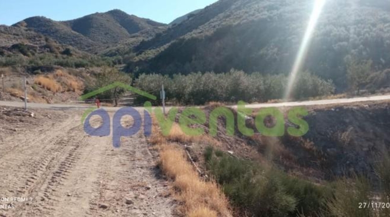 Murcia - Lorca - 8300m2