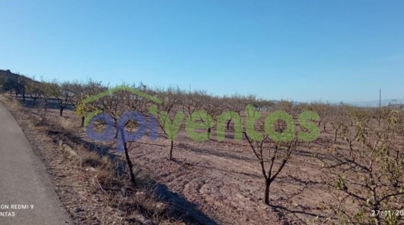 Murcia - Lorca - 8300m2