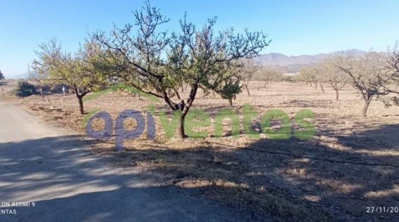 Murcia - Lorca - 8300m2