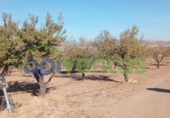 Земля на продажу у города Lorca Фото