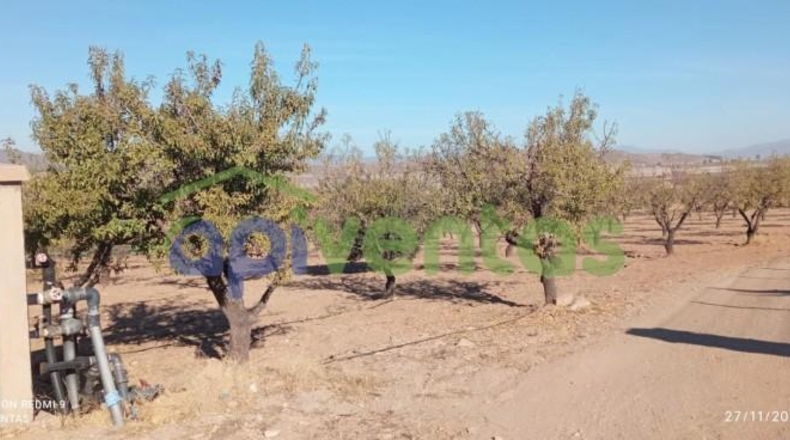 Murcia - Lorca - 8300m2