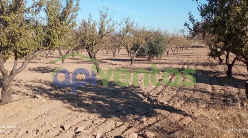 Murcia - Lorca - 8300m2