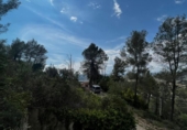 Casa amb terreny en venda a la España, Gelida, ref.: TR303435 foto
