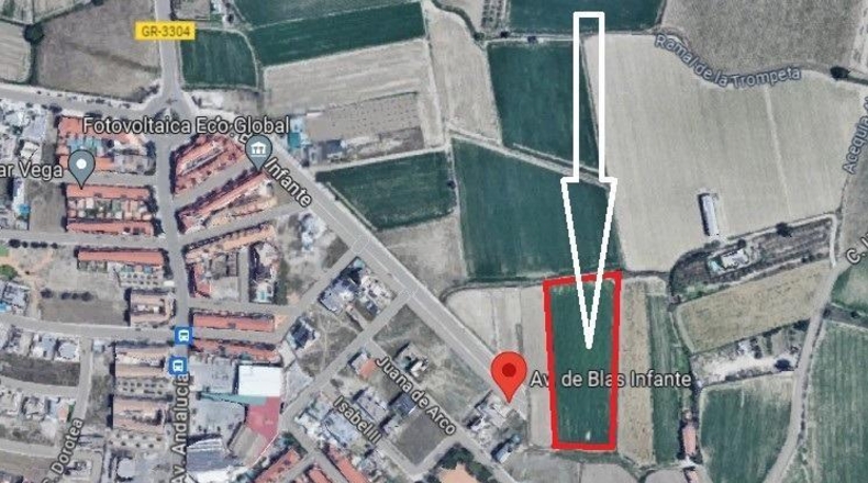 Granada - Cúllar Vega - 7750m2