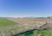 Non-developable land for sale on España, Cúllar Vega, ref: TR235602 photo