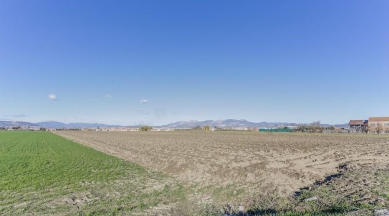 Granada - Cúllar Vega - 7750m2