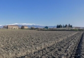 Non-developable land for sale on España, Cúllar Vega, ref: TR235602 photo