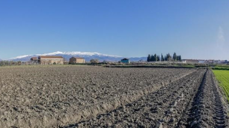 Granada - Cúllar Vega - 7750m2