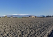 Non-developable land for sale on España, Cúllar Vega, ref: TR235602 photo
