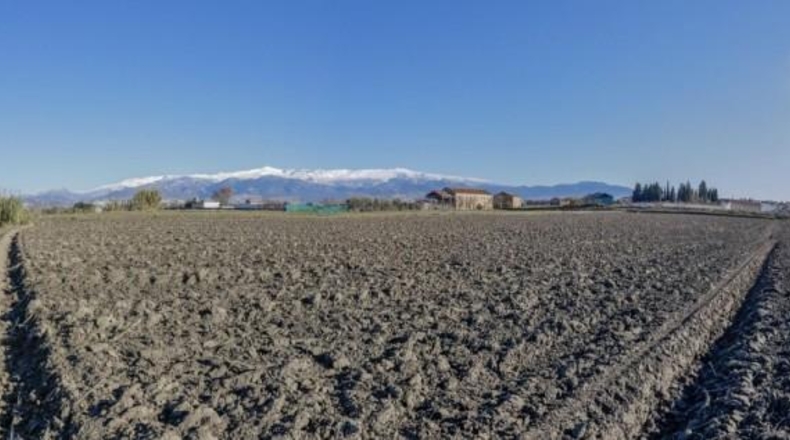 Granada - Cúllar Vega - 7750m2