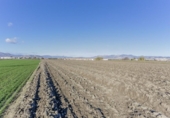 Non-developable land for sale on España, Cúllar Vega, ref: TR235602 photo