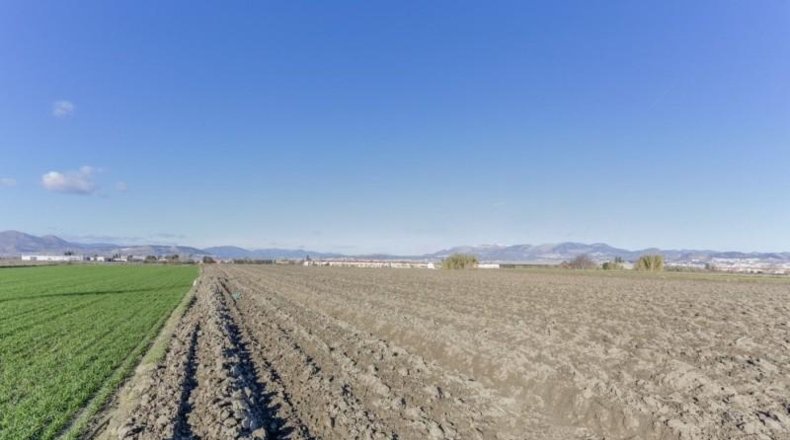 Granada - Cúllar Vega - 7750m2